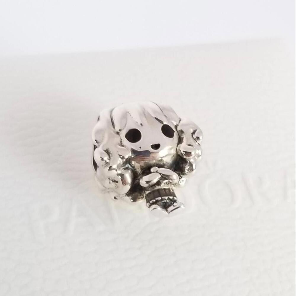 Pandora Hermione Granger  Silver Charm 925 Ale Hogwarts Gryffindor With Box #182